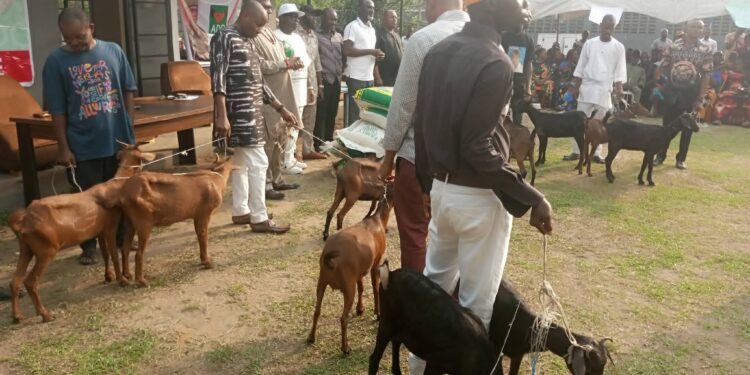 Amaechi’s ally distributes bags of rice, goats to Ogonis, markets ADC