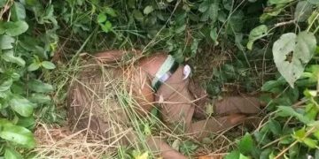 Rivers: Fragile peace in Omoku town shaken as unknown persons behead newly elected youth President