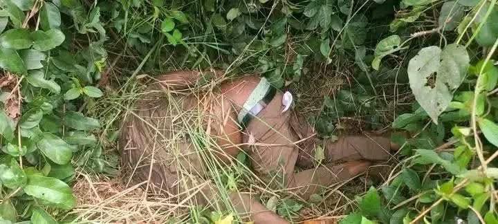Rivers: Fragile peace in Omoku town shaken as unknown persons behead newly elected youth President